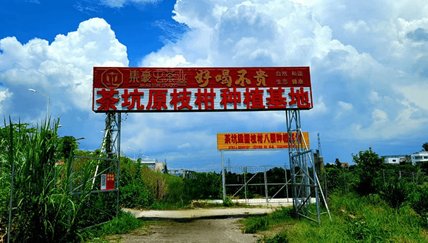 新會茶葉店加盟