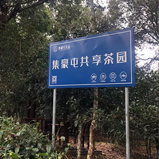 集豪屯共享茶園 茶葉加盟費用