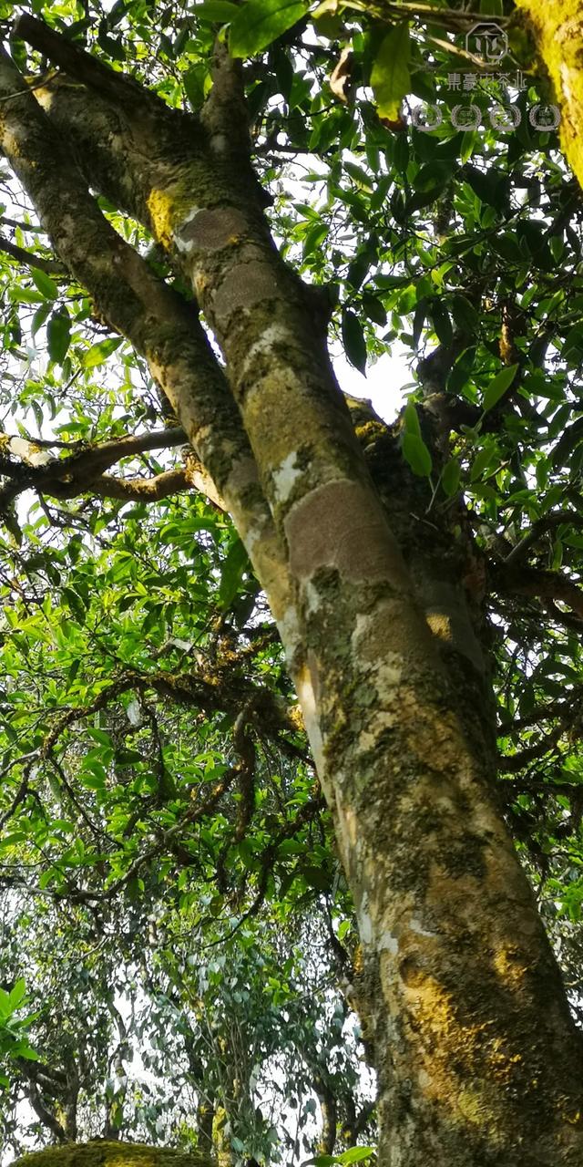 待疫情過去，我第一個想見你