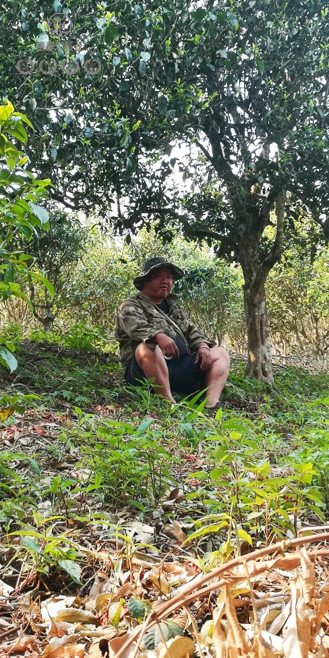 待疫情過去，我第一個想見你