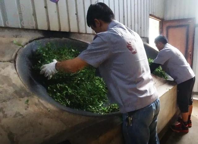 別再輕信謠言，回歸殺青的本真