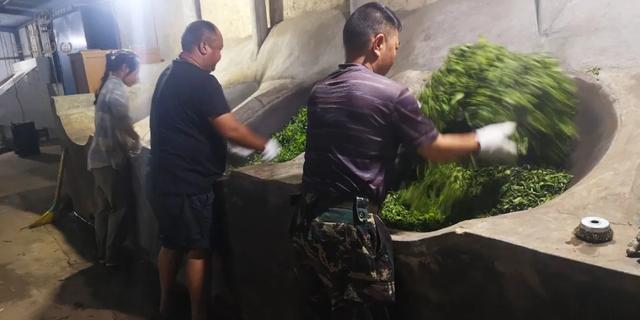 春來發(fā)幾枝,愿君多采擷