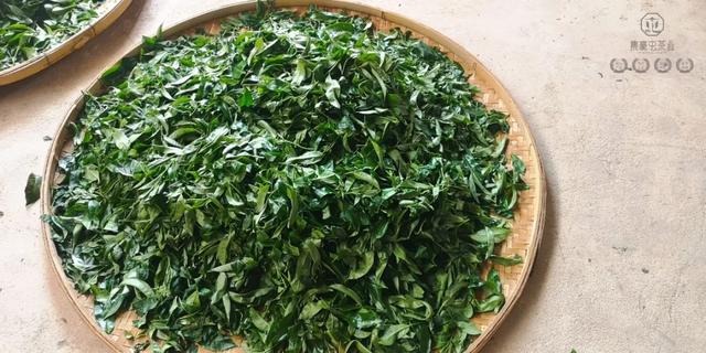 春來發(fā)幾枝,愿君多采擷