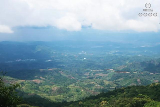 當(dāng)我站在西雙版納之巔,這是我離云端最近的一次