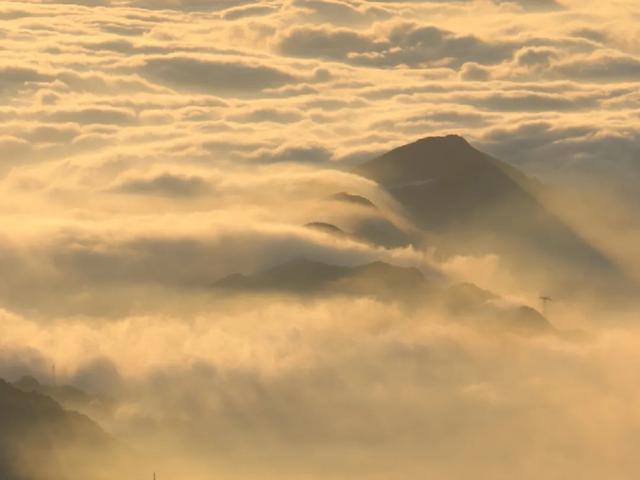 萃取天地精華,只為健康生活