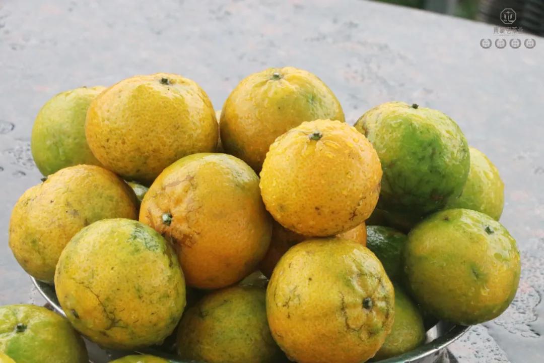 末代梅江陳皮，珍稀且珍惜