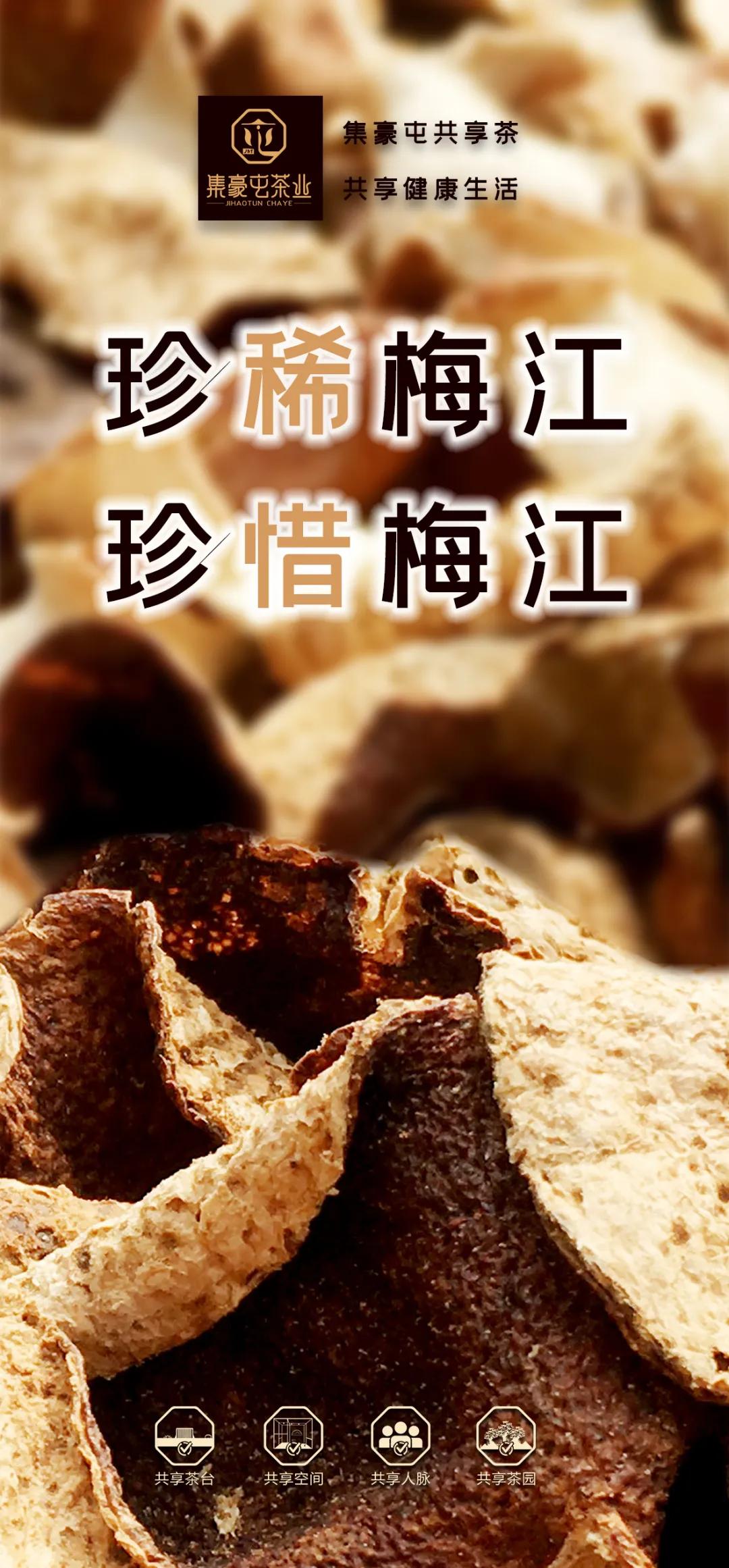 末代梅江陳皮，珍稀且珍惜