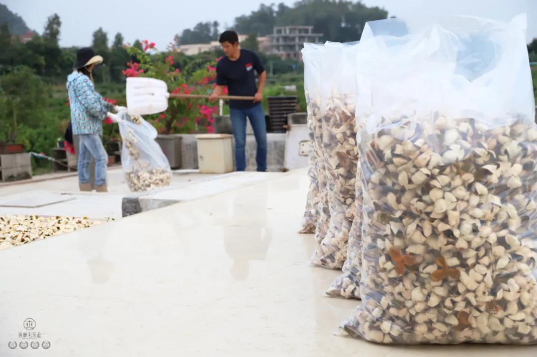 末代梅江陳皮，珍稀且珍惜